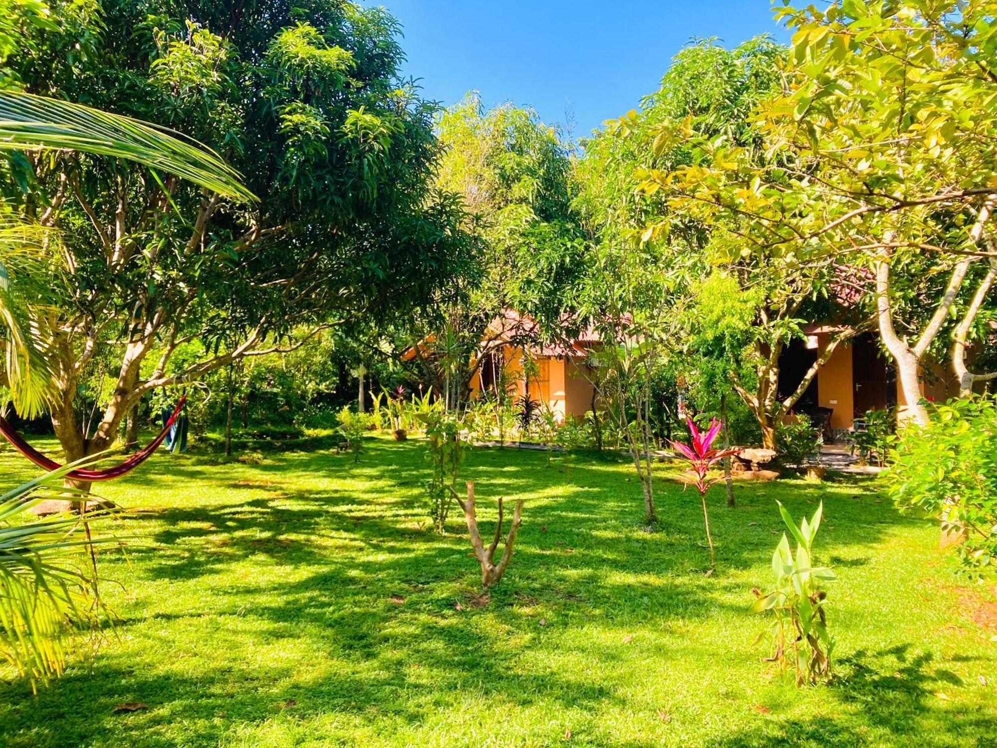 Suncity Privacy Cottages Udawalawe Exterior photo